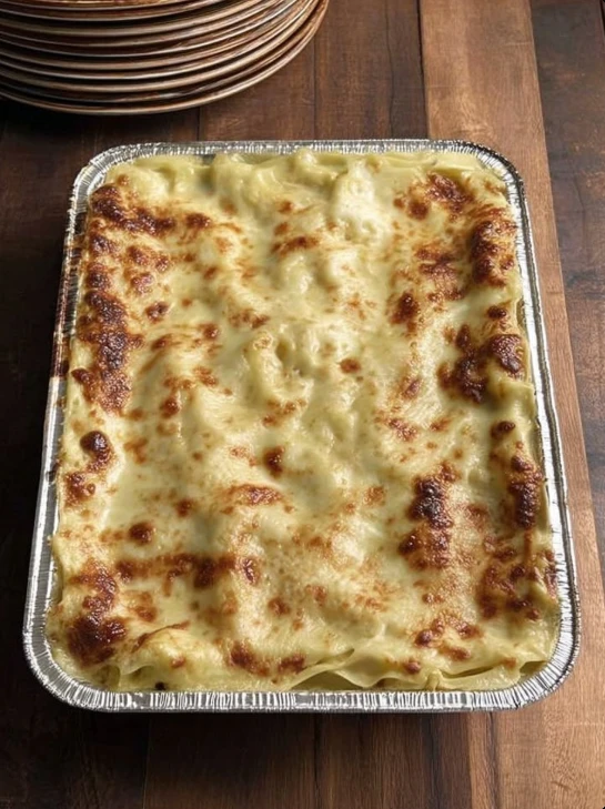 Chicken Alfredo Lasagna