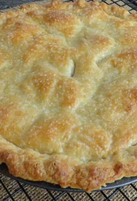 Best Thanksgiving Turkey Pot Pie Recipe Homemade Thanksgiving Turkey Pot Pie Gluten-free Turkey Pot Pie For Thanksgiving E...