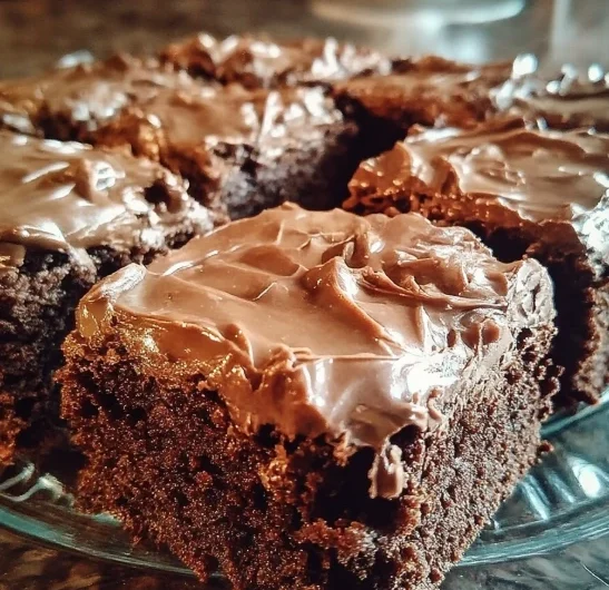 Cozy Grandmas Mississippi Mud Cake