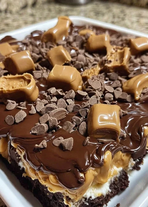 Retro Bakery Chocolate Peanut Butter Cake Recipe Best Chocolate Peanut Butter Earthquake Cake Where To Buy Retro Bakery Ea...