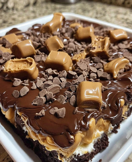 Retro Bakery Chocolate Peanut Butter Cake Recipe Best Chocolate Peanut Butter Earthquake Cake Where To Buy Retro Bakery Ea...