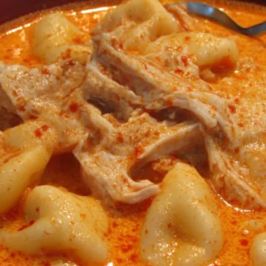 Cozy Grandmas Hungarian Chicken Paprikash