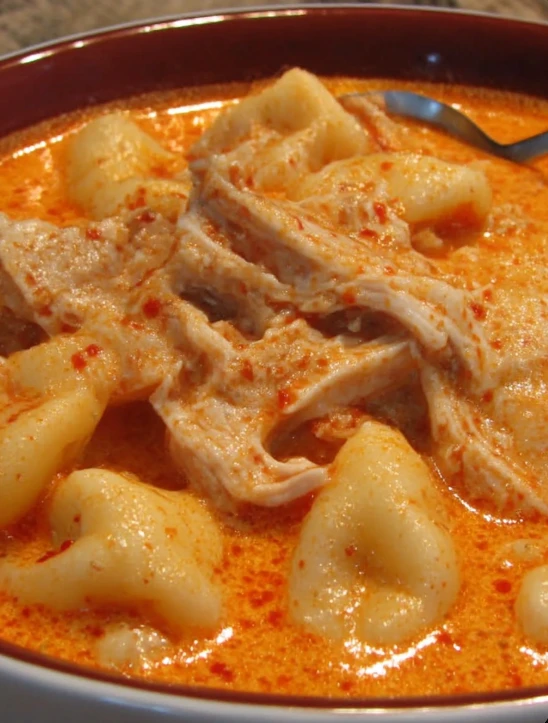 Cozy Grandma’s hungarian chicken paprikash