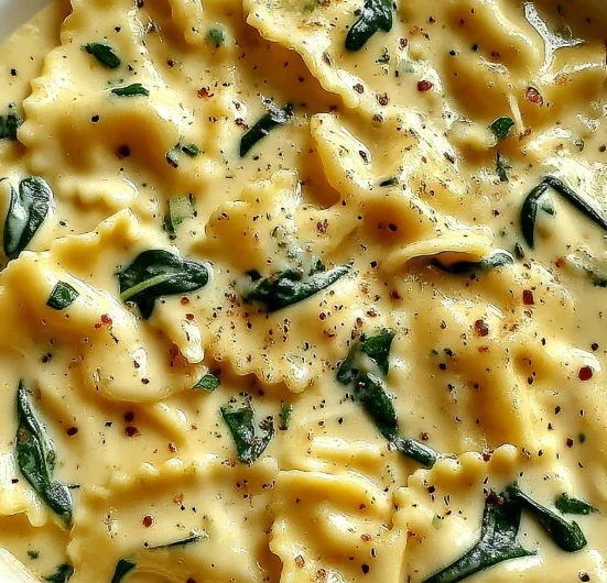 Alfredo Lasagna Soup